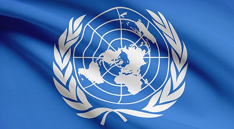 FN flagga